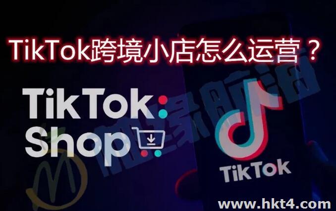tiktok服務(wù)器企業(yè)識(shí)別碼